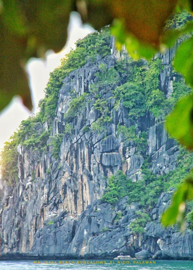 Maligaya Beach Bungalows เอลนิโด ภายนอก รูปภาพ